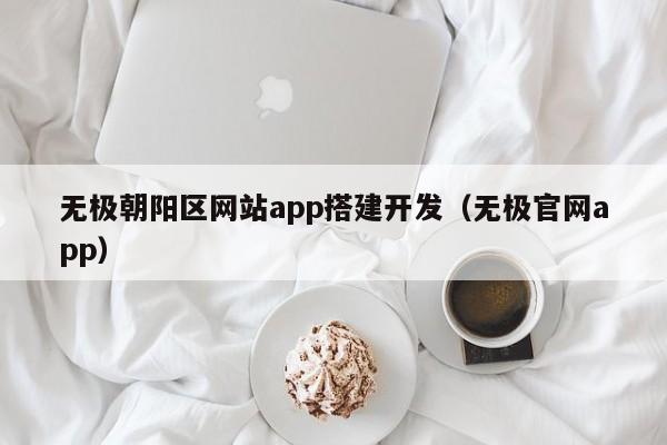 无极朝阳区网站app搭建开发(无极官网app)